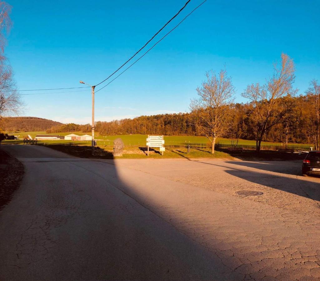 Gîte D'han le coin Han-sur-Lesse Eksteriør bilde